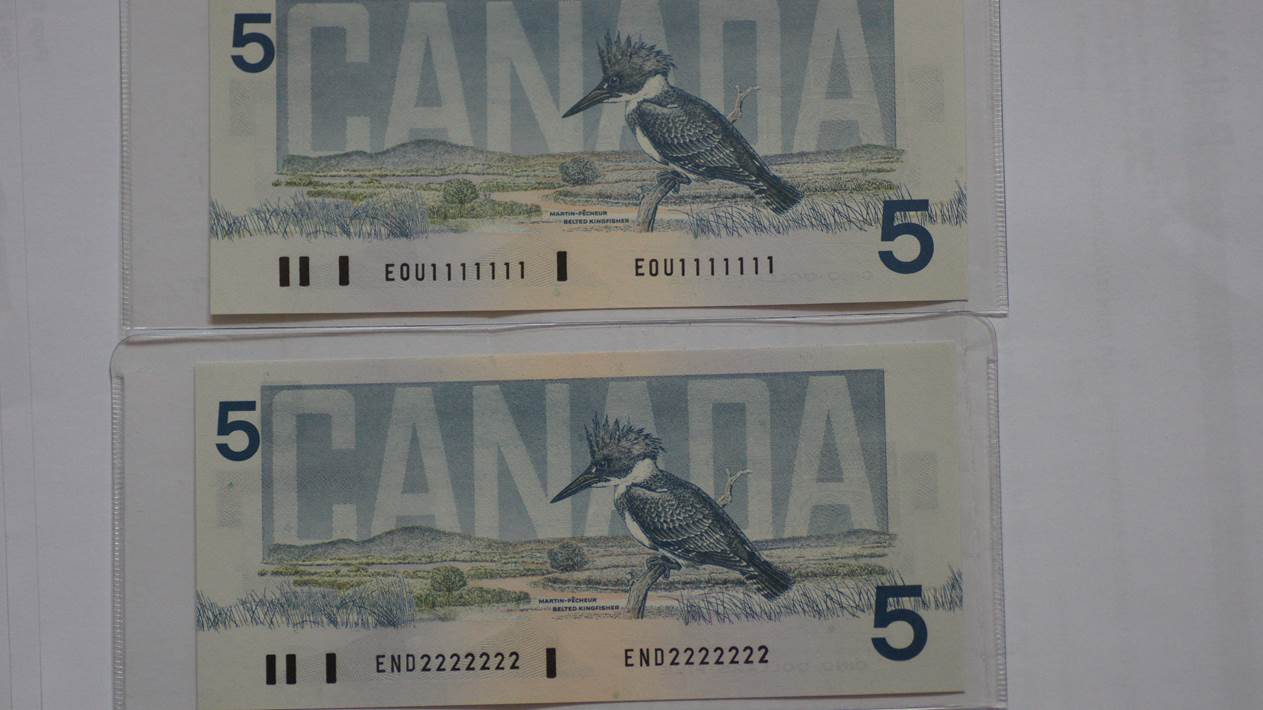 1987 5 dollar solid.jpg