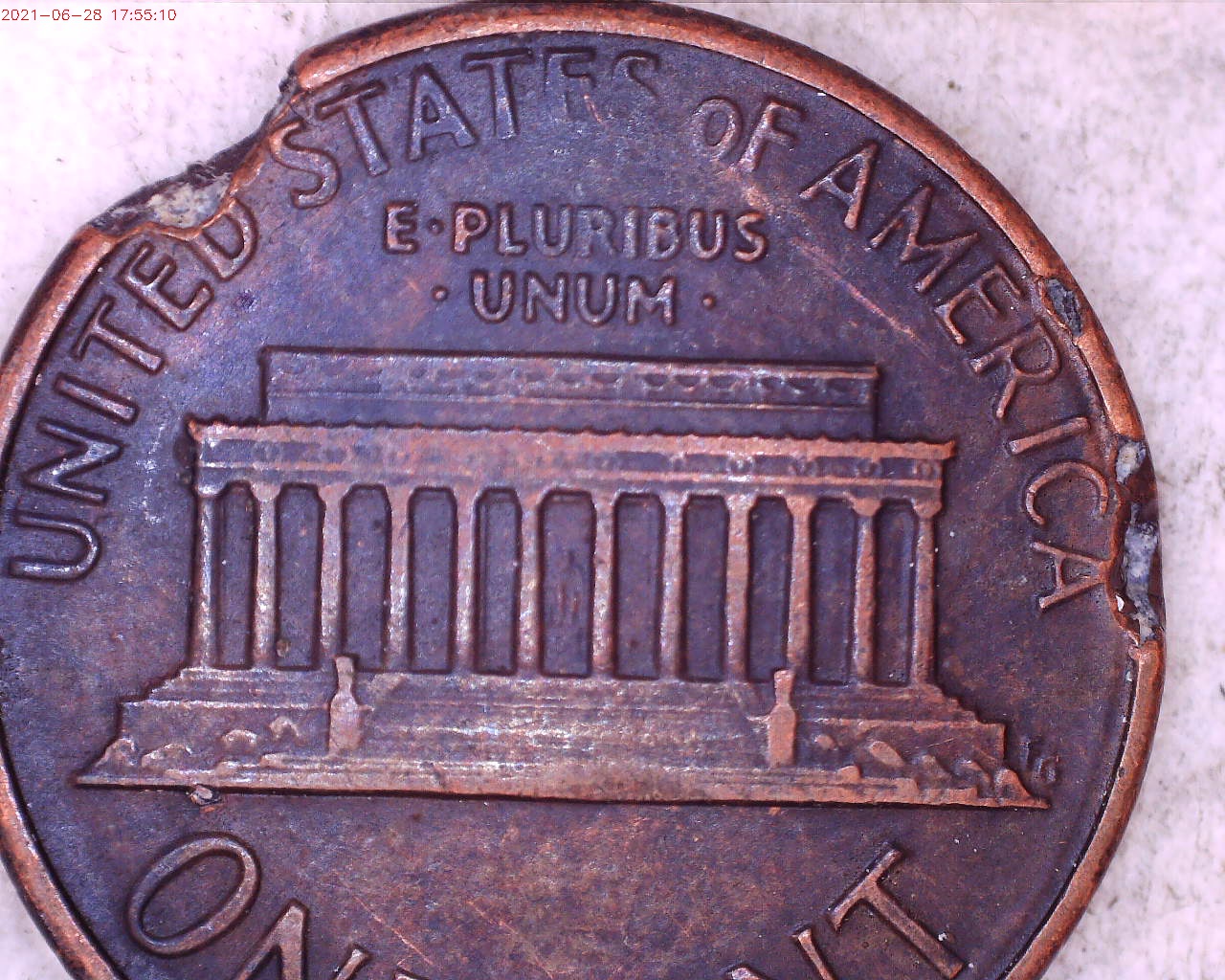 1988 D reverse closeup.jpg
