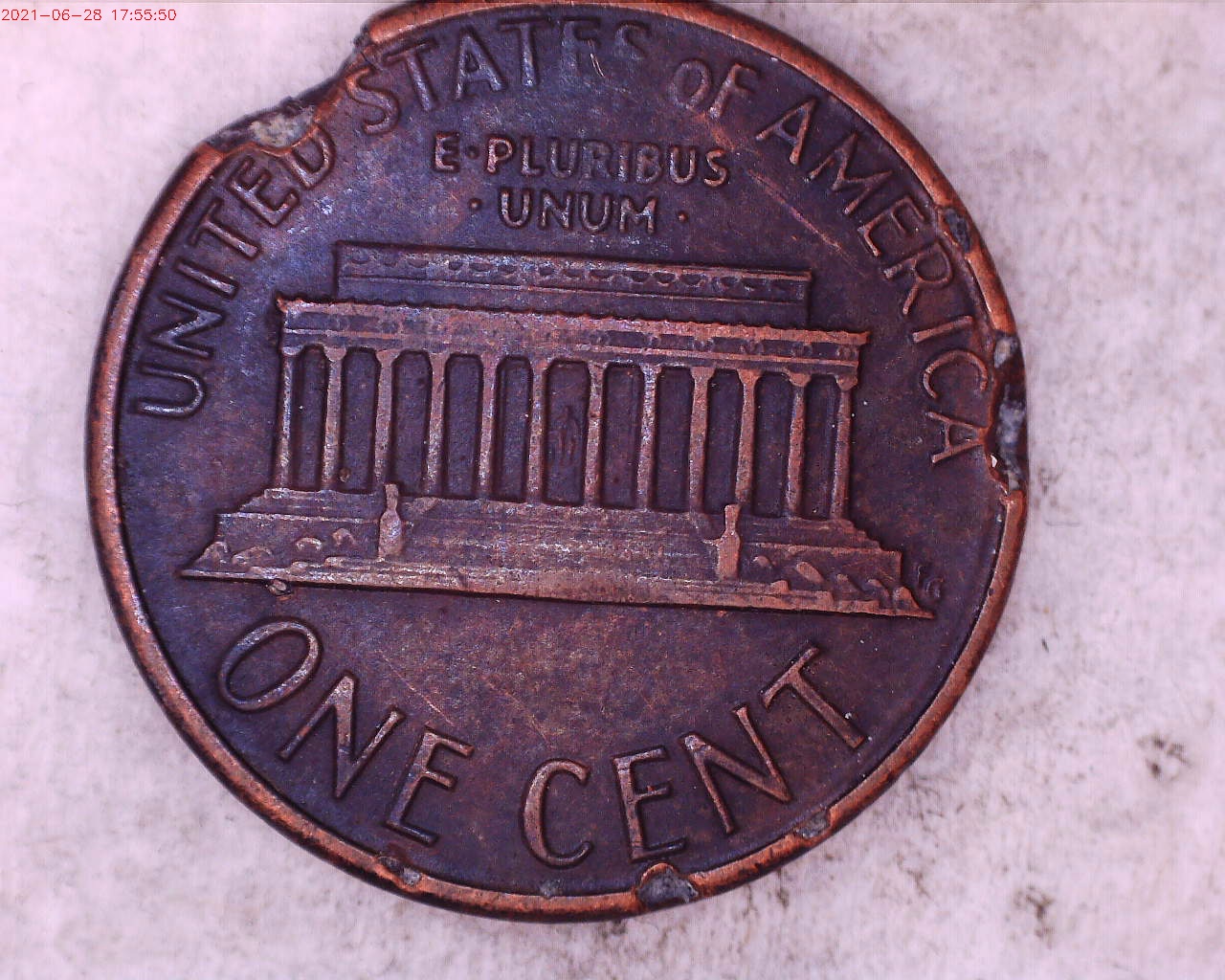 1988 D reverse.jpg
