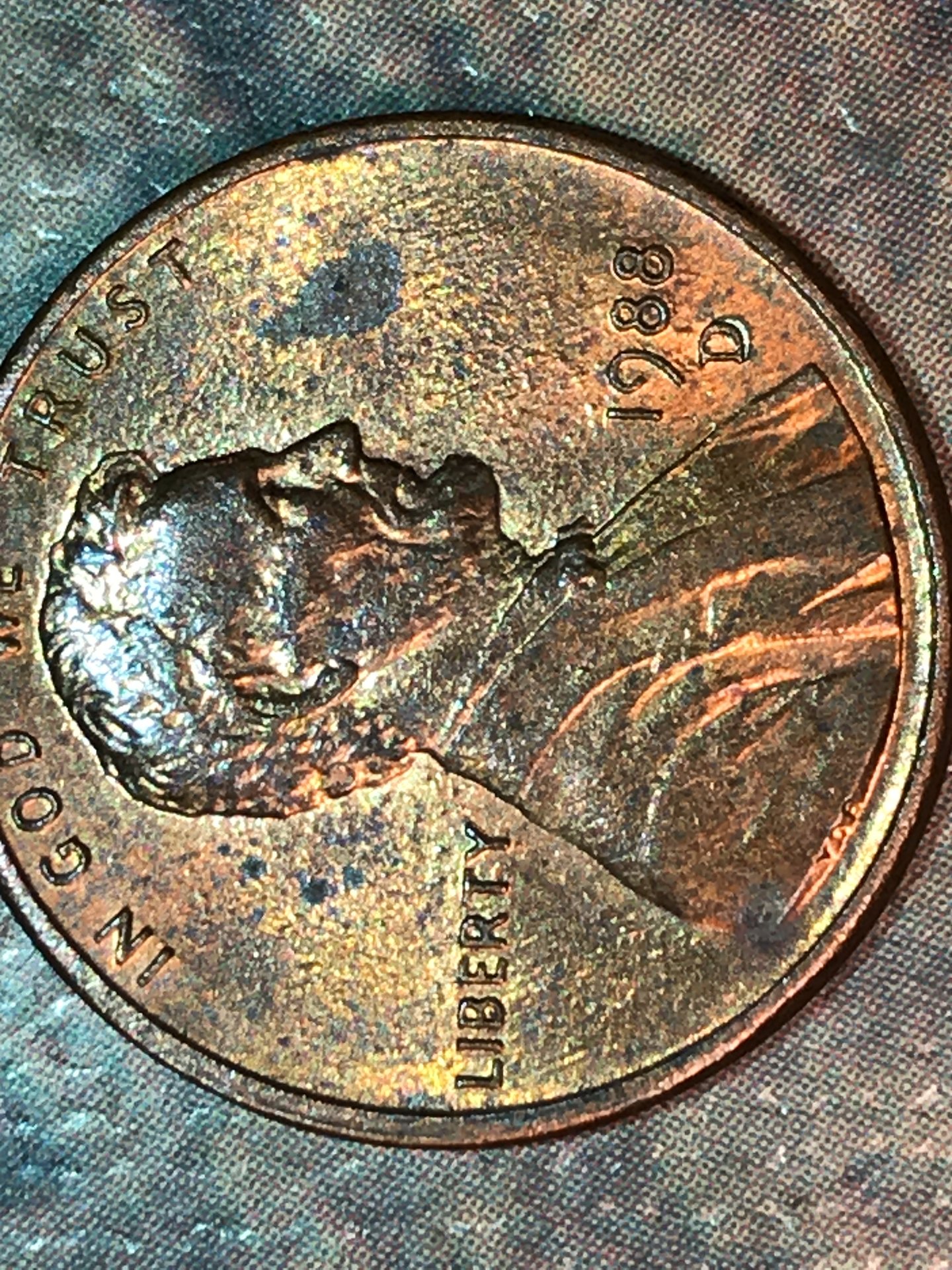 1988 DD.JPG