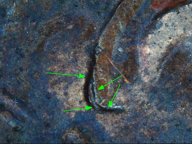 1988 Lincoln cent doubled ear2.jpg