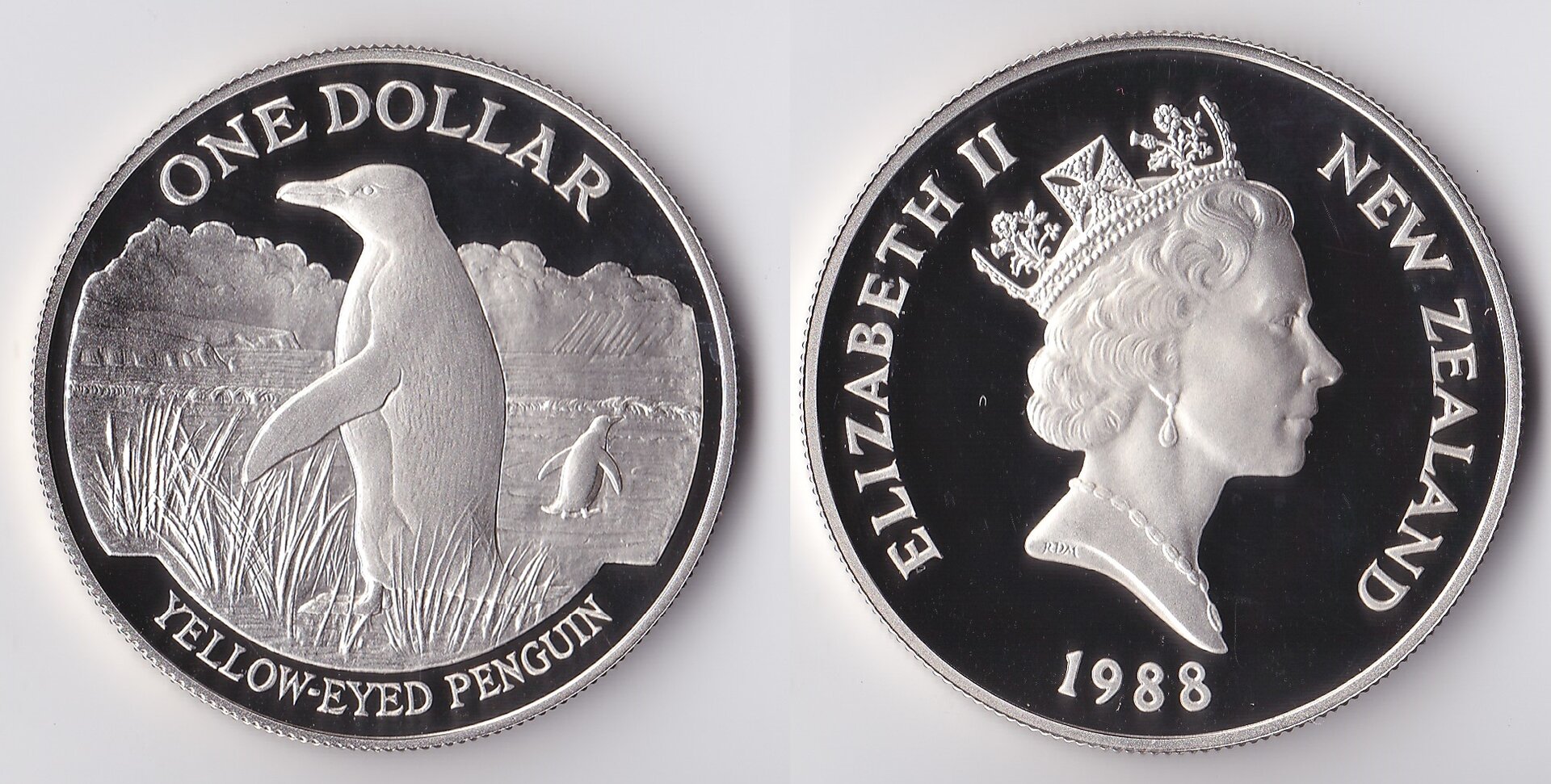 1988 new zealand 1 dollar penguin.jpg