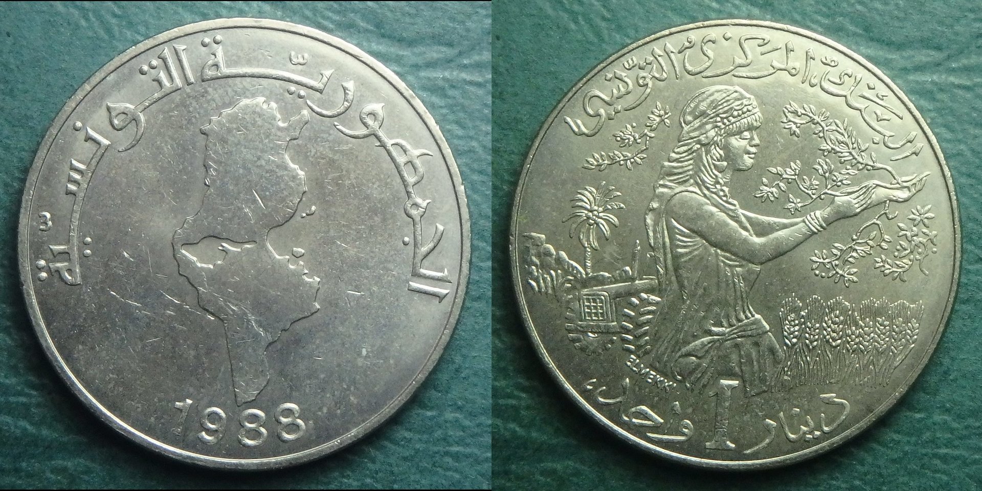 1988 TN-FAO 1 d obv-horz.jpg