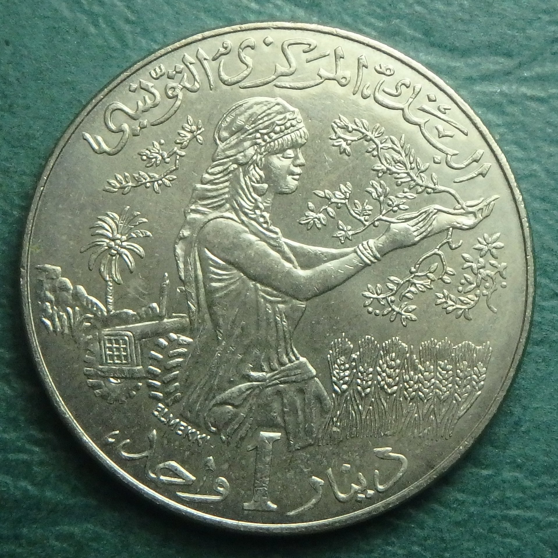 1988 TN-FAO 1 d rev.JPG