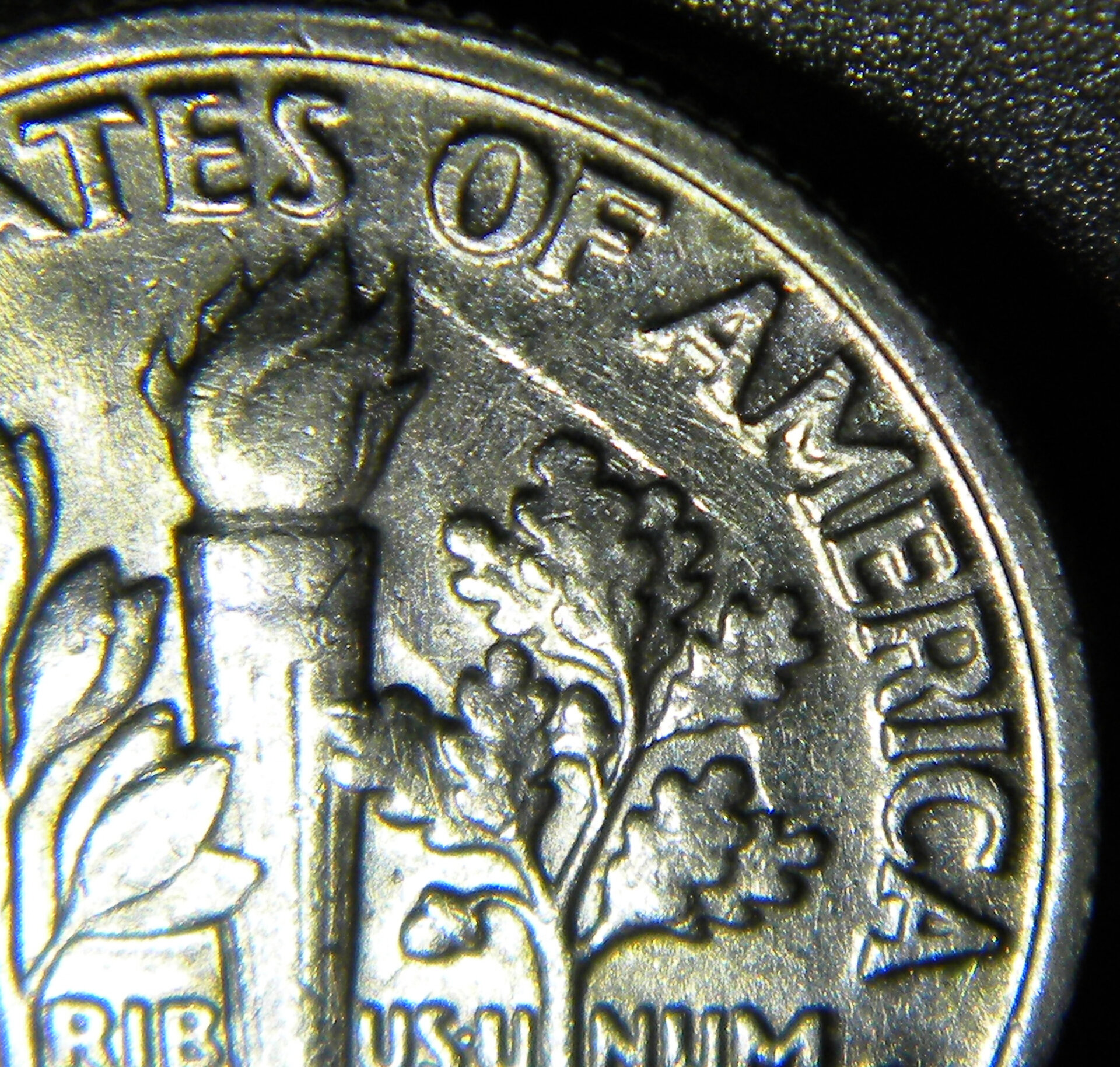 1989 P Roosevelt Dime (CloseUpReverse2).jpg