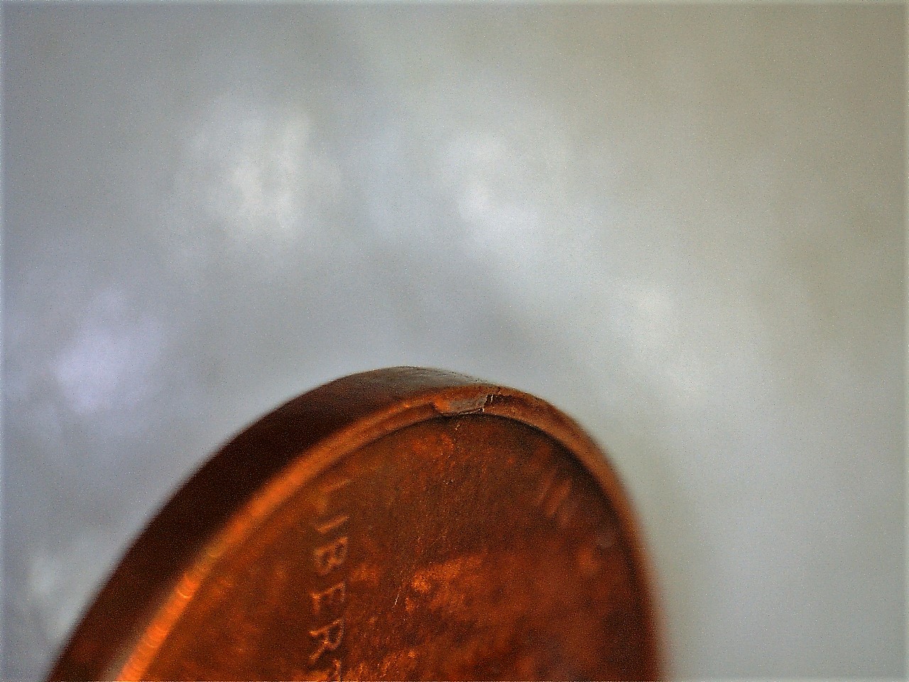1989c1.jpg