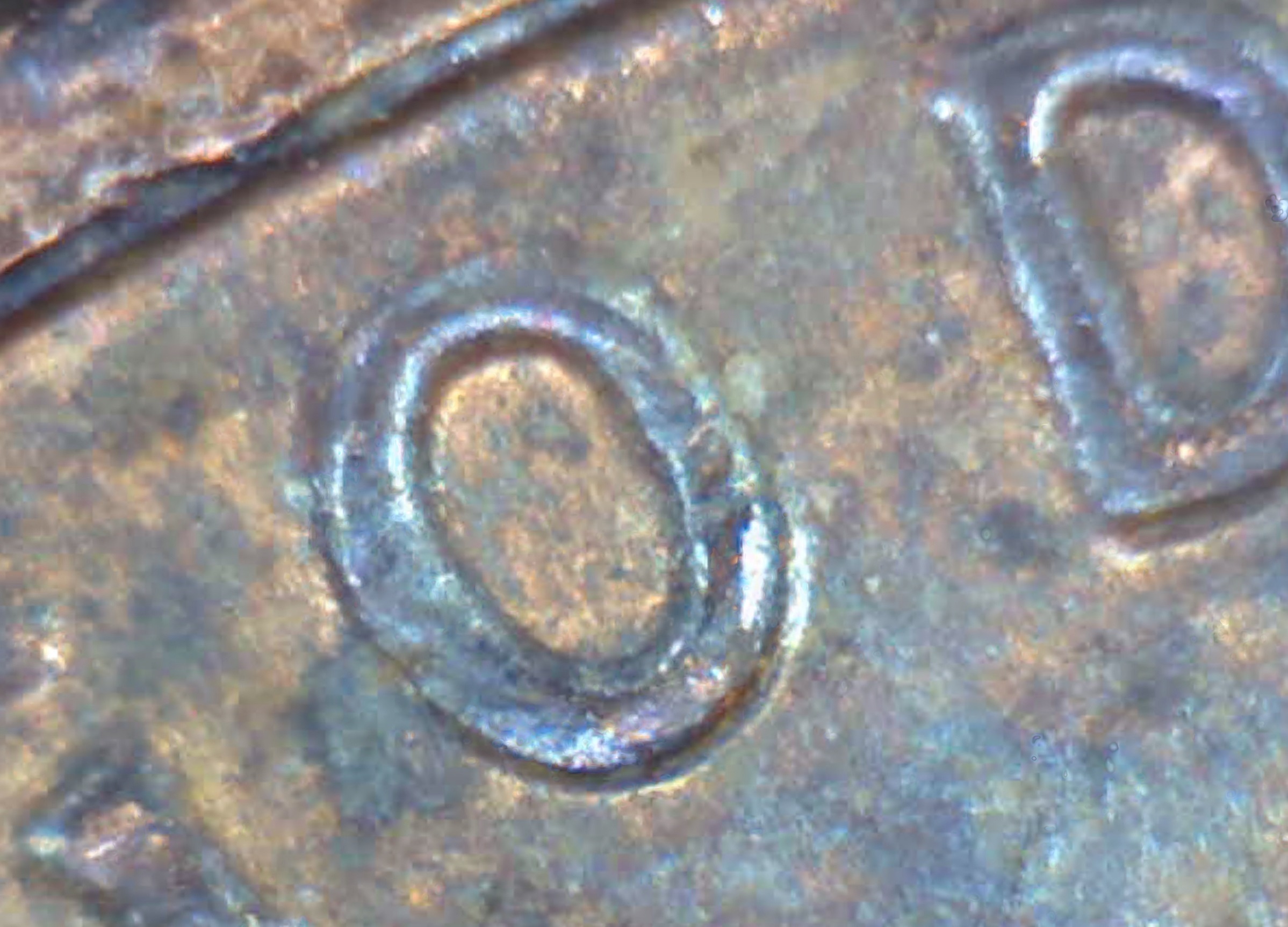 1989d.jpg