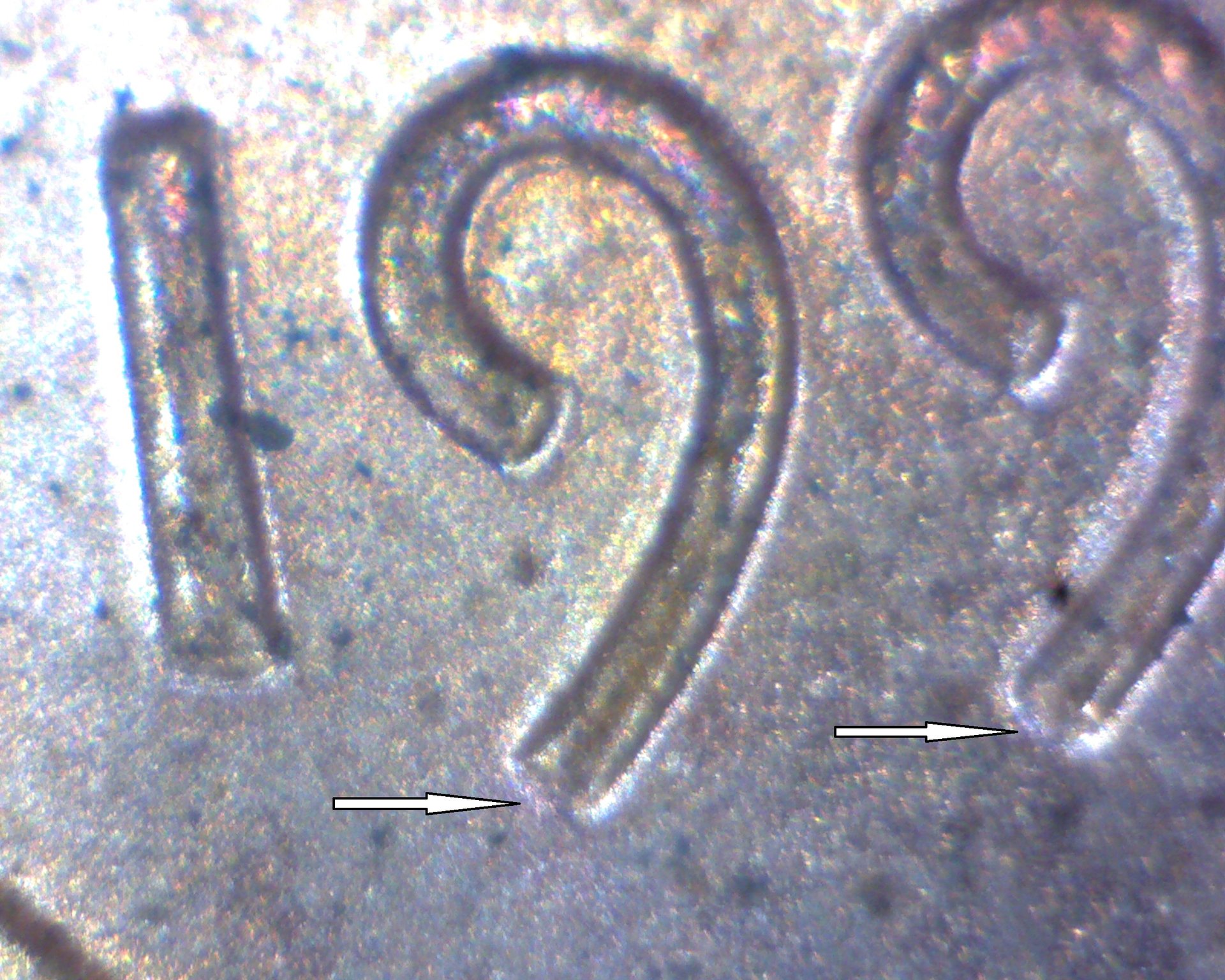 199 of 94.jpg