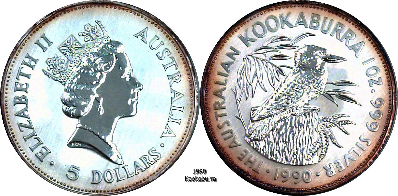 1990 Kookaburra.jpg