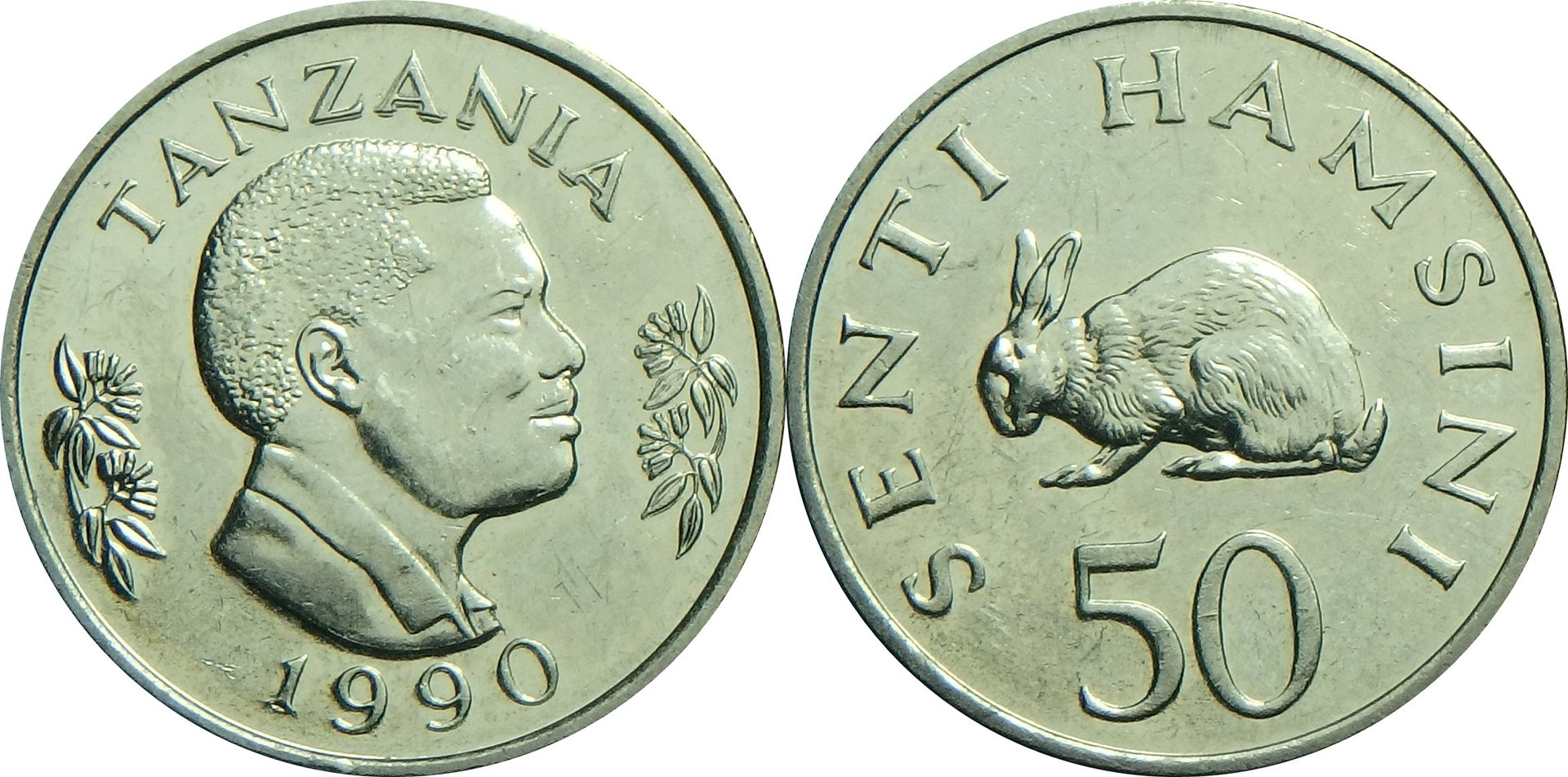 1990 TZ 50 s.jpg