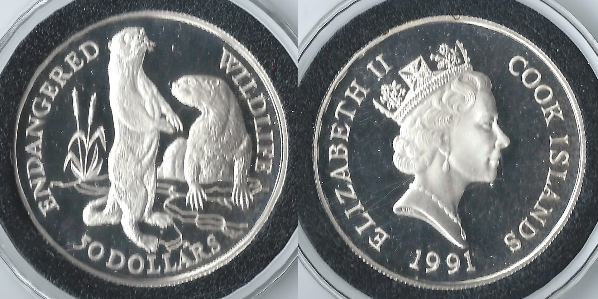 1991 cook islands 50 dollars.jpg