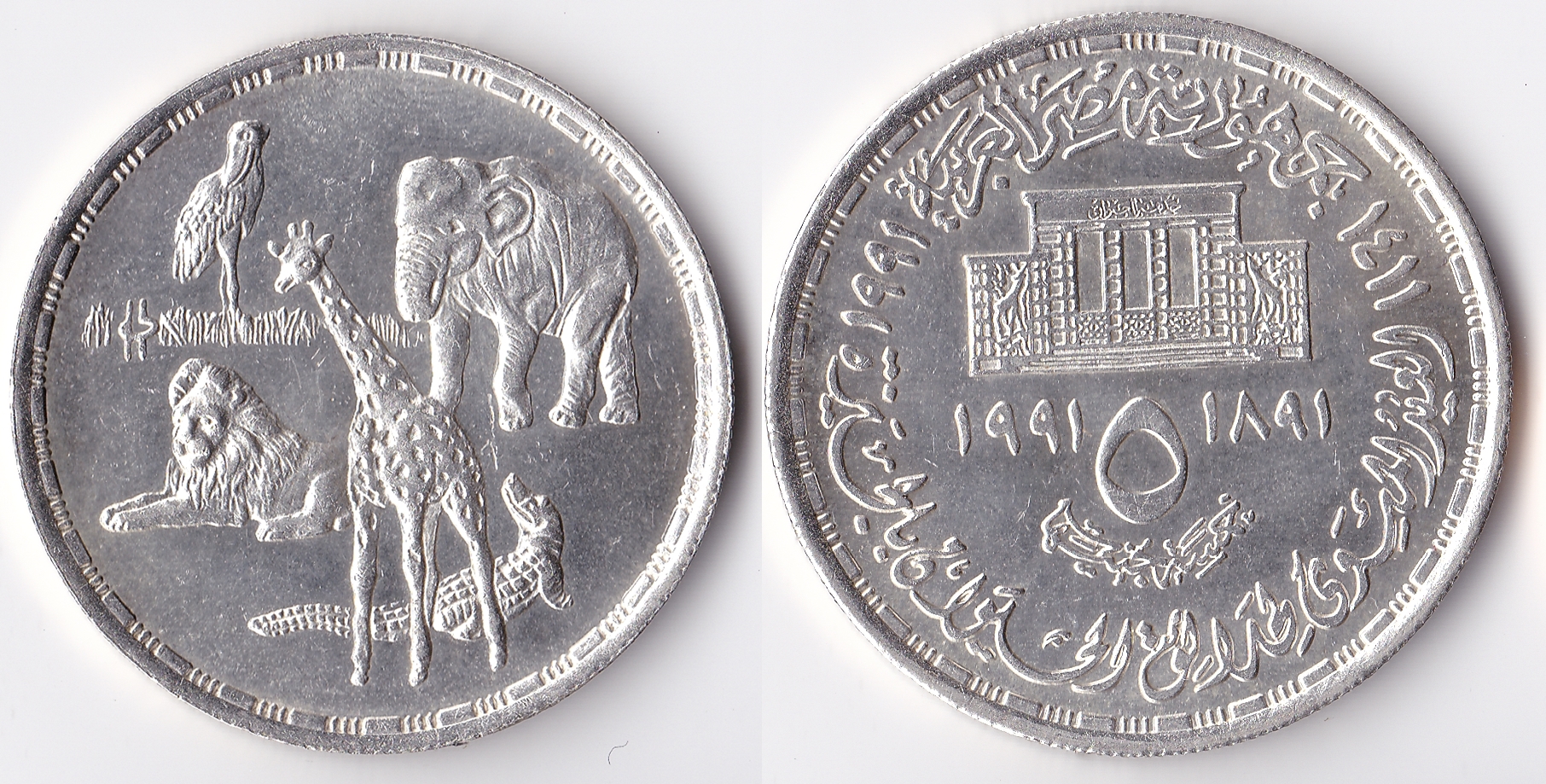 1991 egypt 5 pounds.jpg