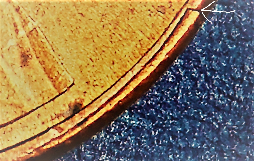 1991crop (2)-1.jpg
