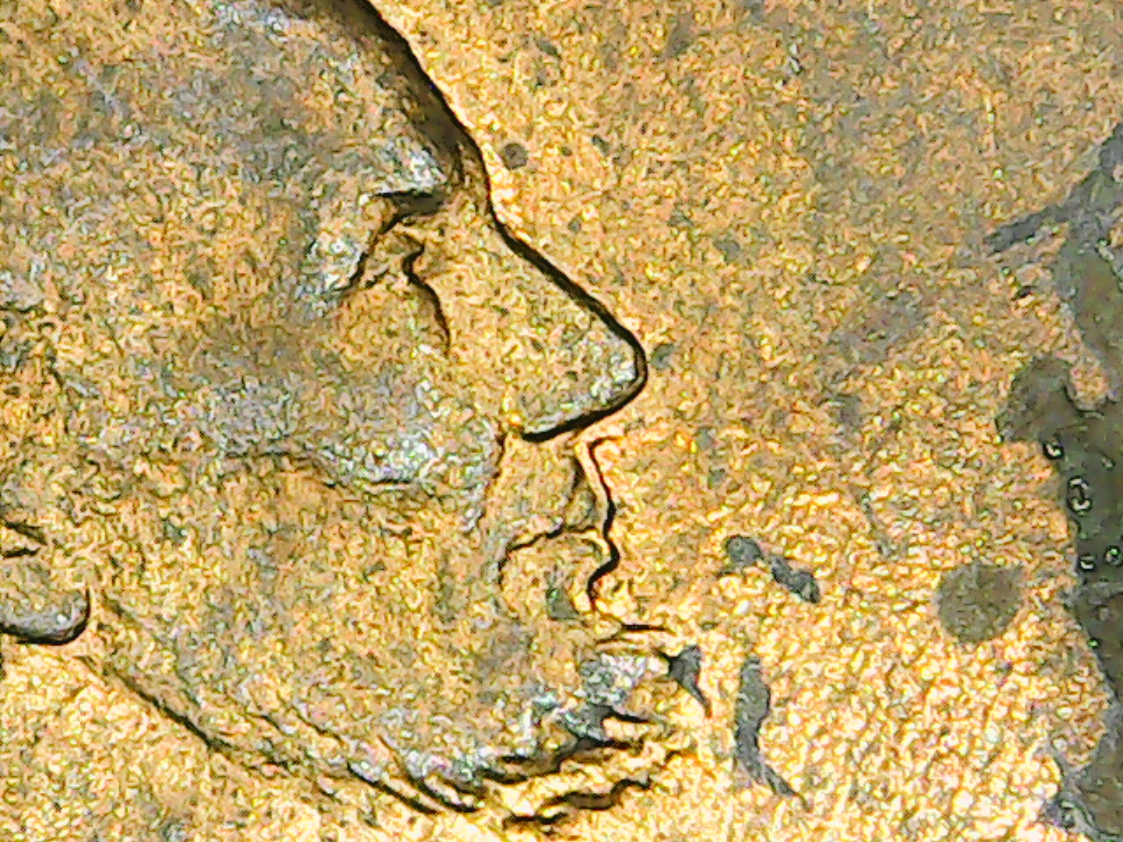 1992cleftpalatelinc03.jpg
