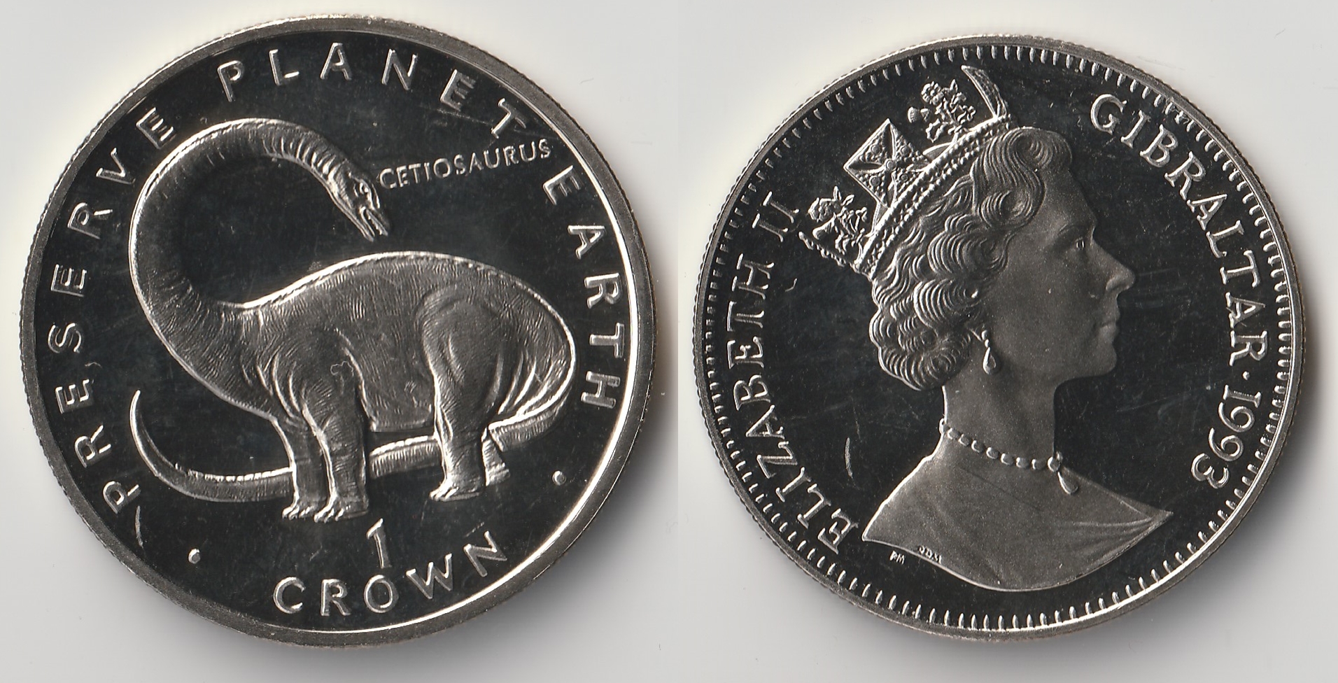 1993 gibraltar 1 crown cetiosaurus.jpg