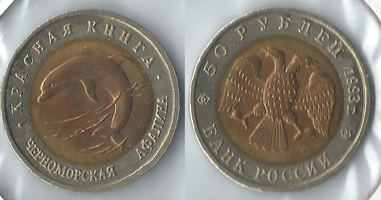 1993 russia 50 rubles dolphin.jpg