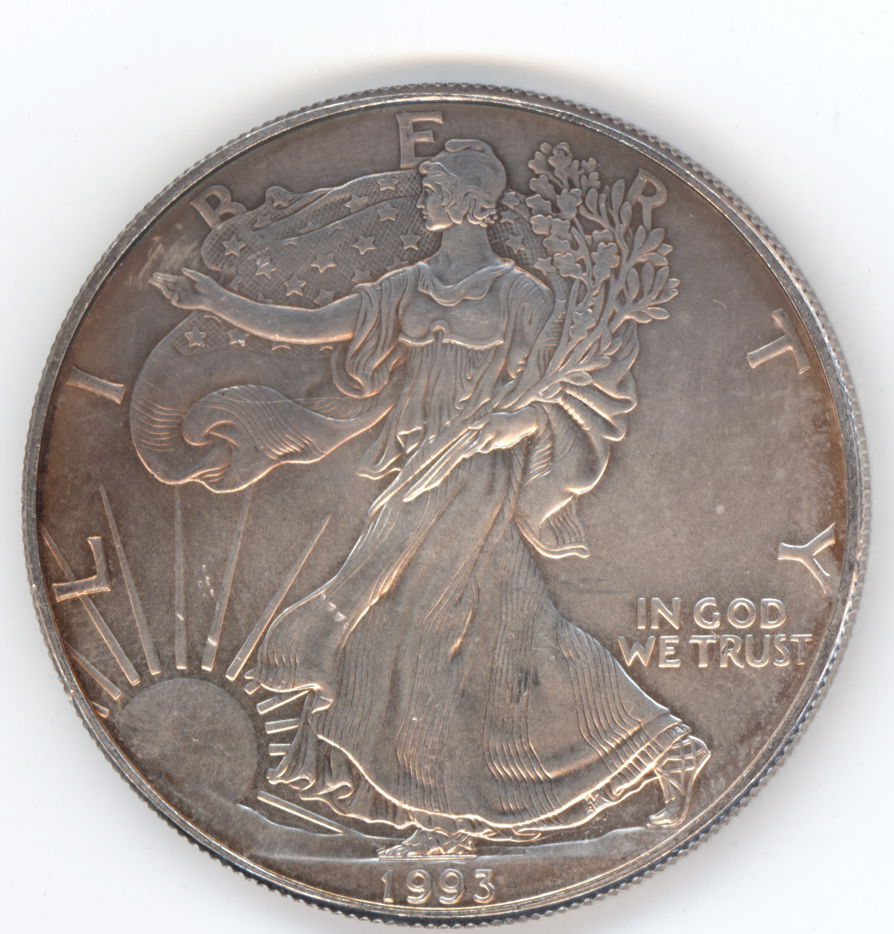 1993 Silver Eagle DD.jpg