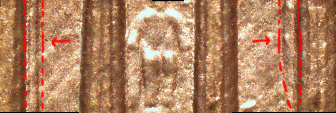 1993_columns.jpg