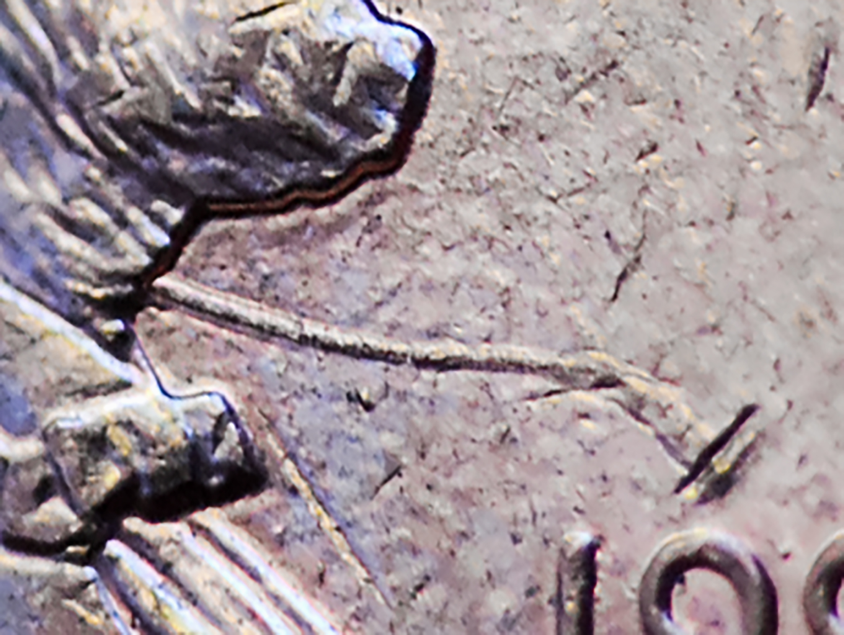 1993crop.jpg