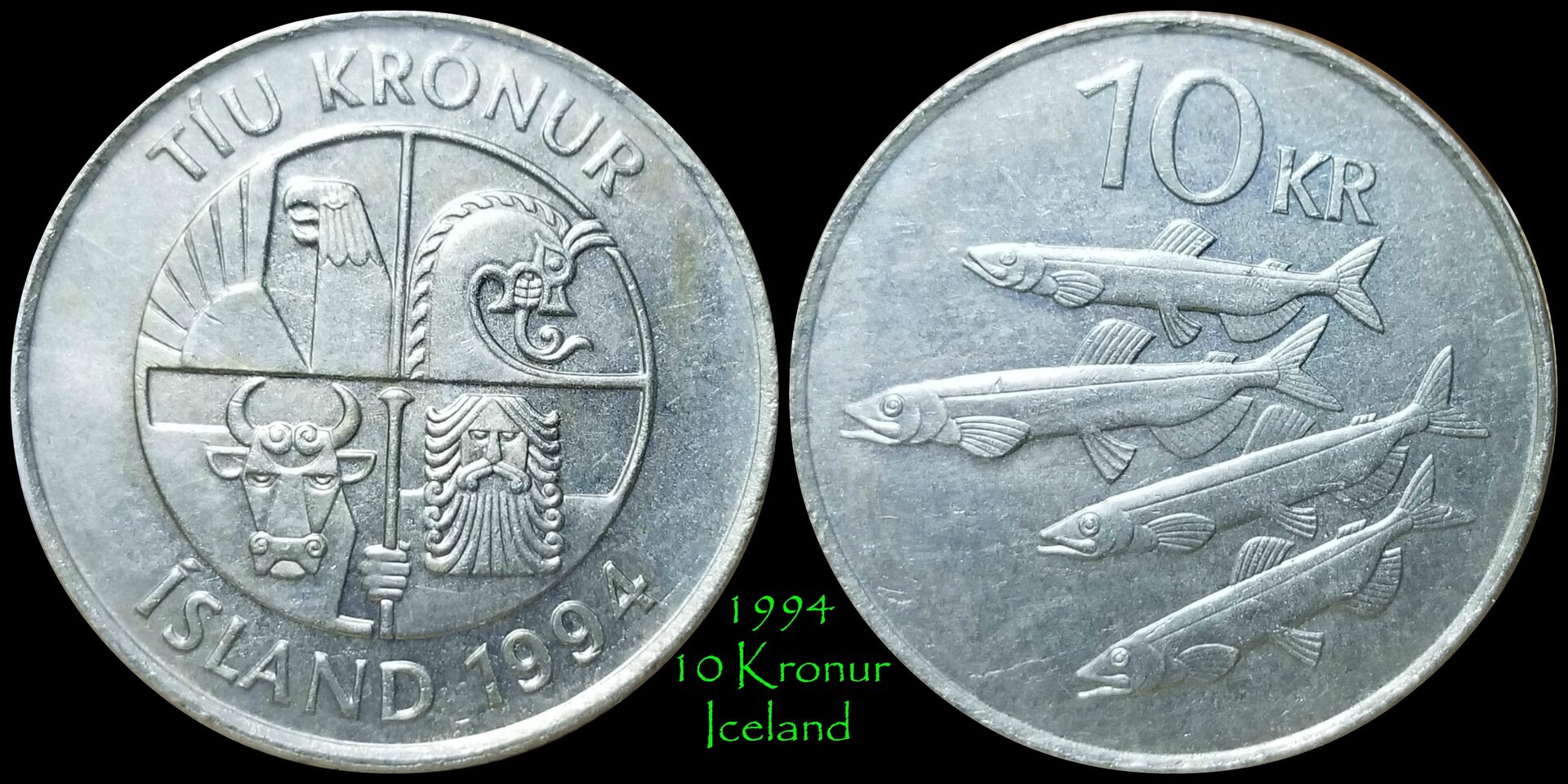 1994 10K Iceland.jpg