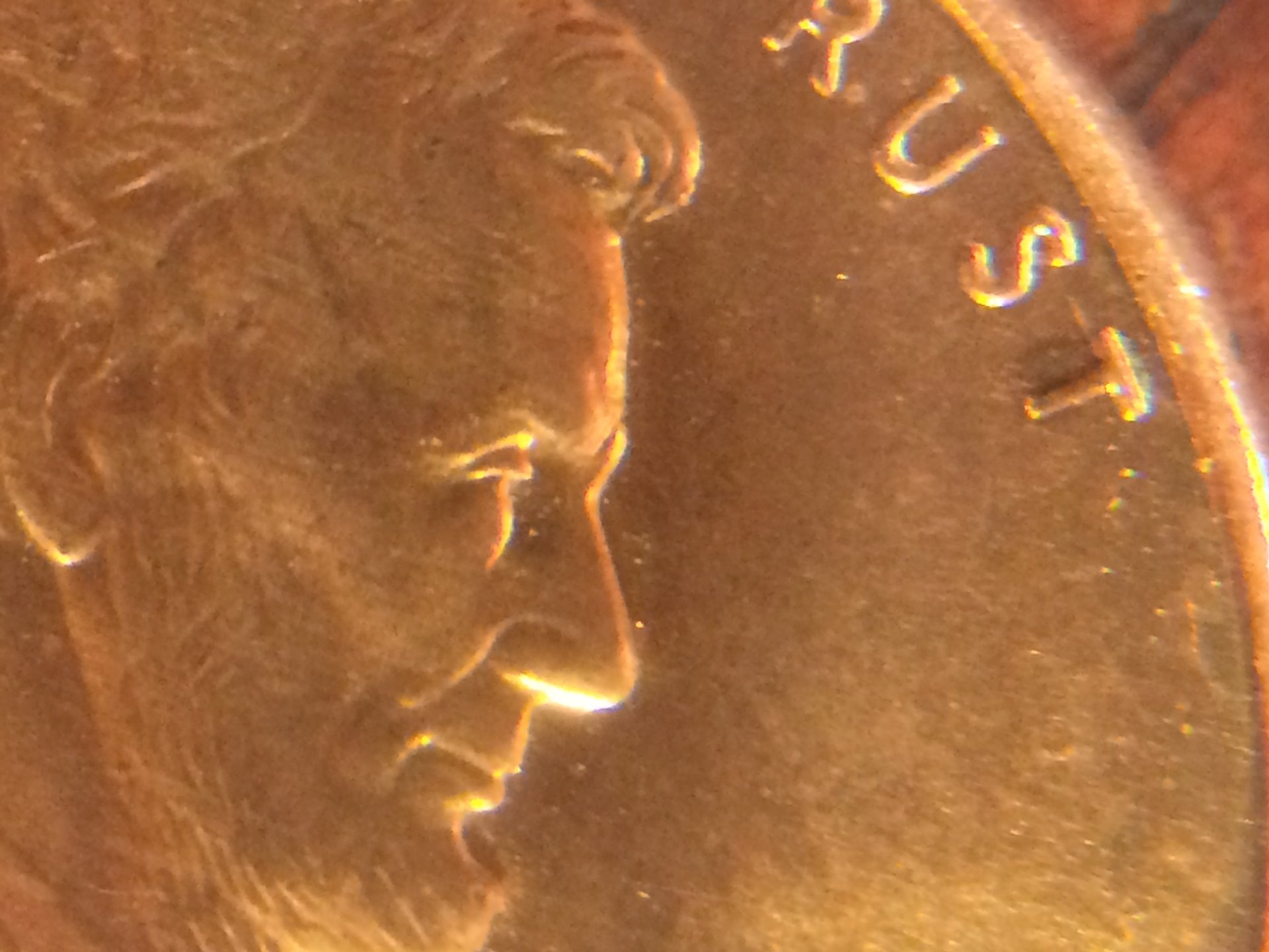 1994 D Nose (6).JPG