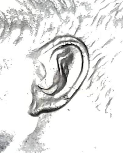 1994 P Kennedy face drop 7.jpg