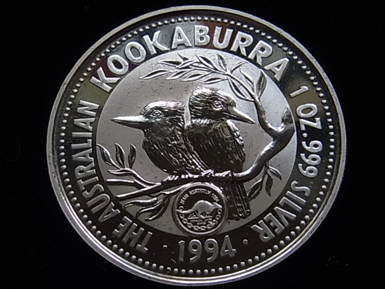 1994 Specimen Kooks.jpg