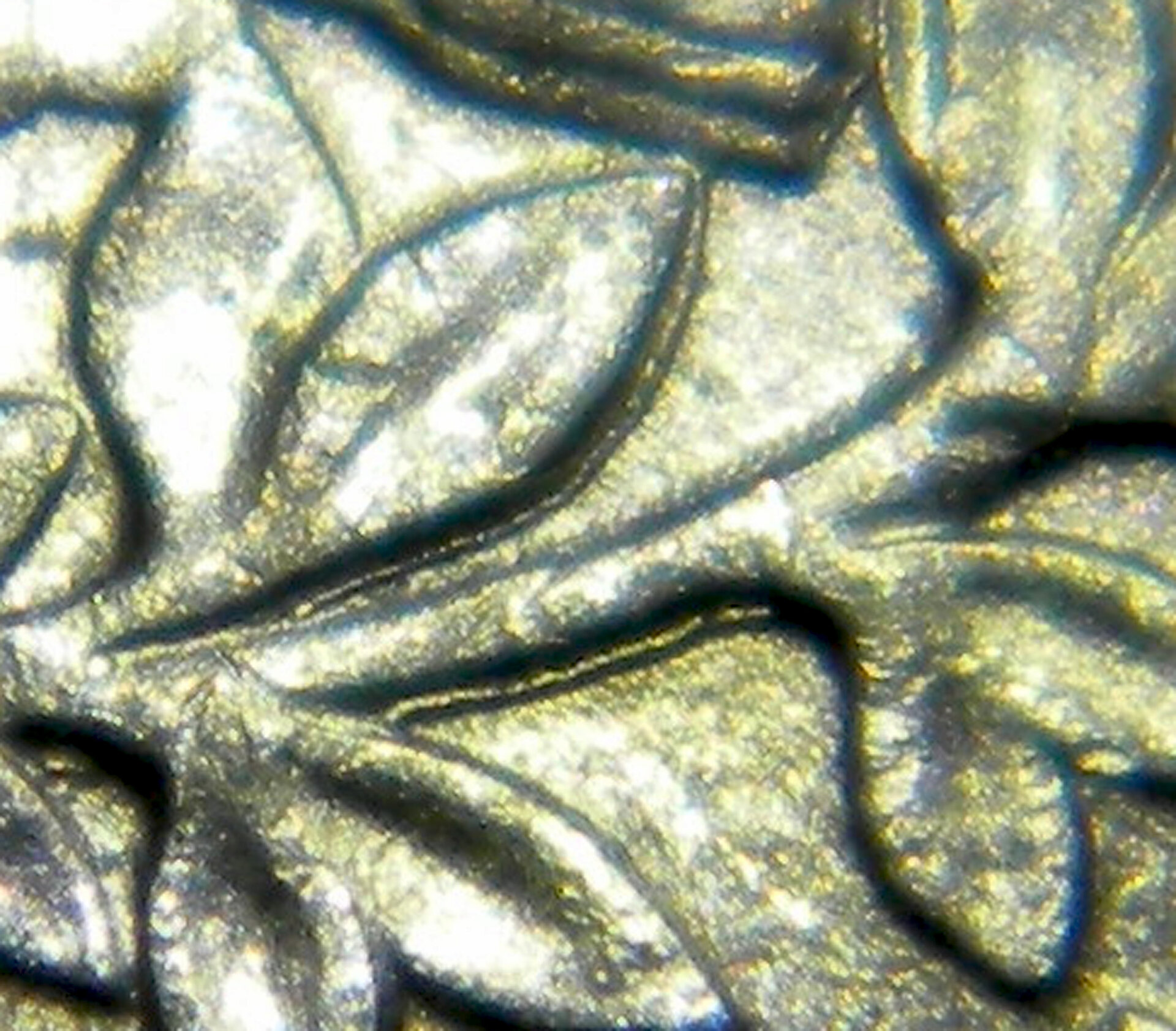 1994 Washington Quarter (CloseUp2a).jpg