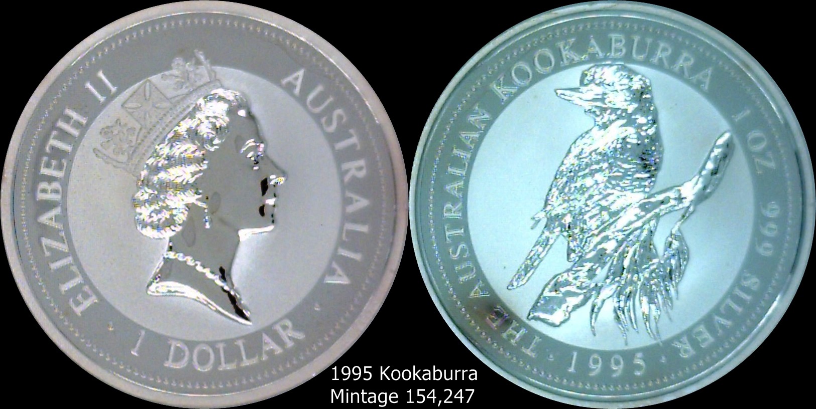 1995 Kookaburra.jpg