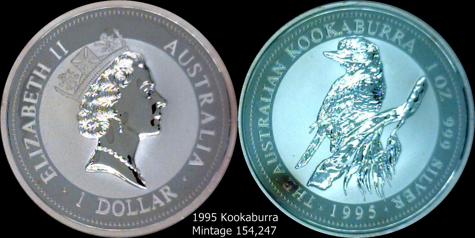 1995 Kookaburra.jpg