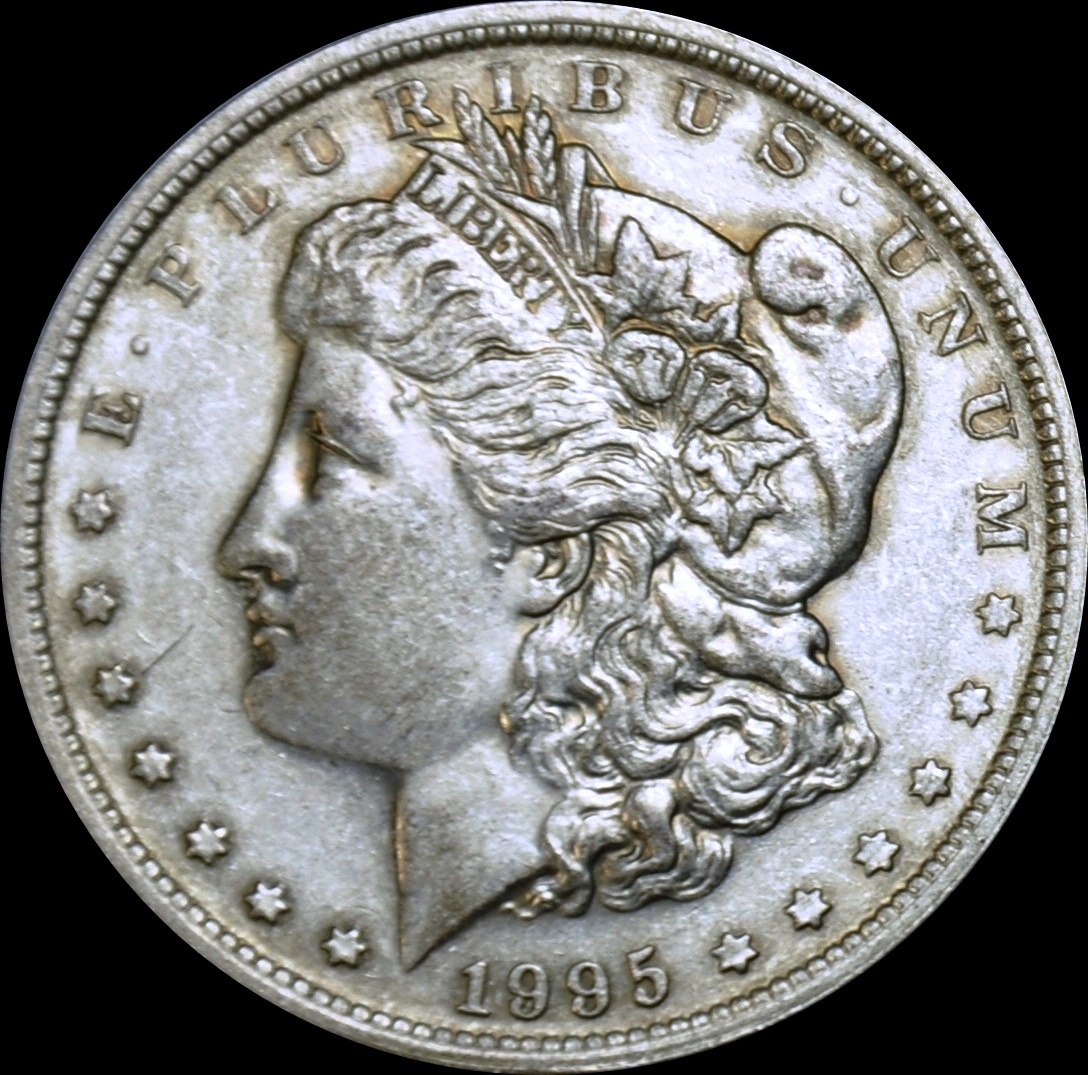 1995 obv 1-horz - Copy - Copy.jpg