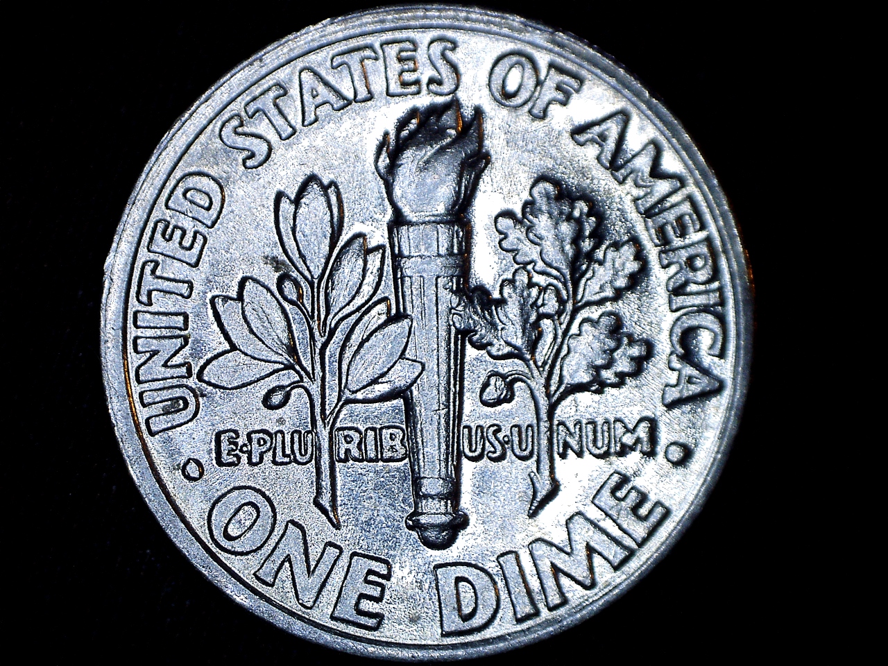 1995 P Collar Clash.jpg