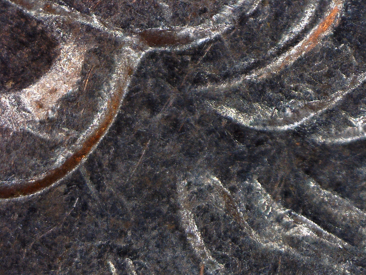 1995 P Quarter Missing Detail (9).jpg