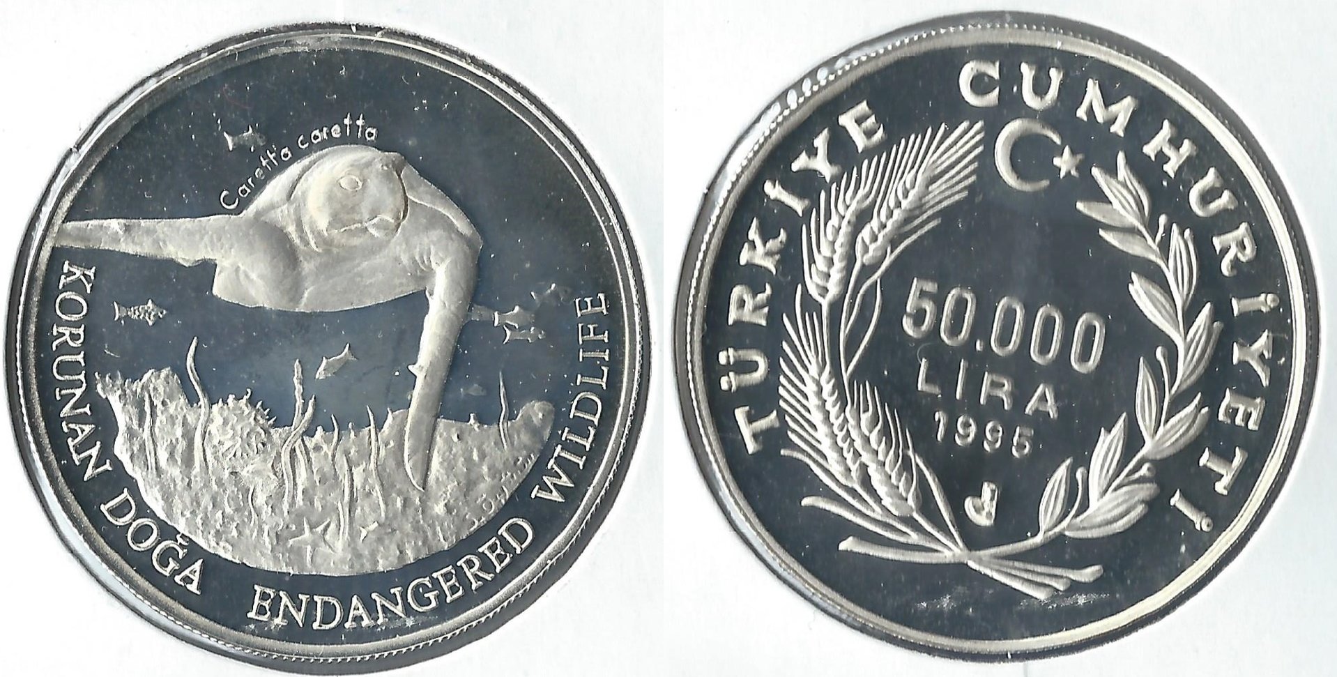 1995 turkey 50000 lira.jpg