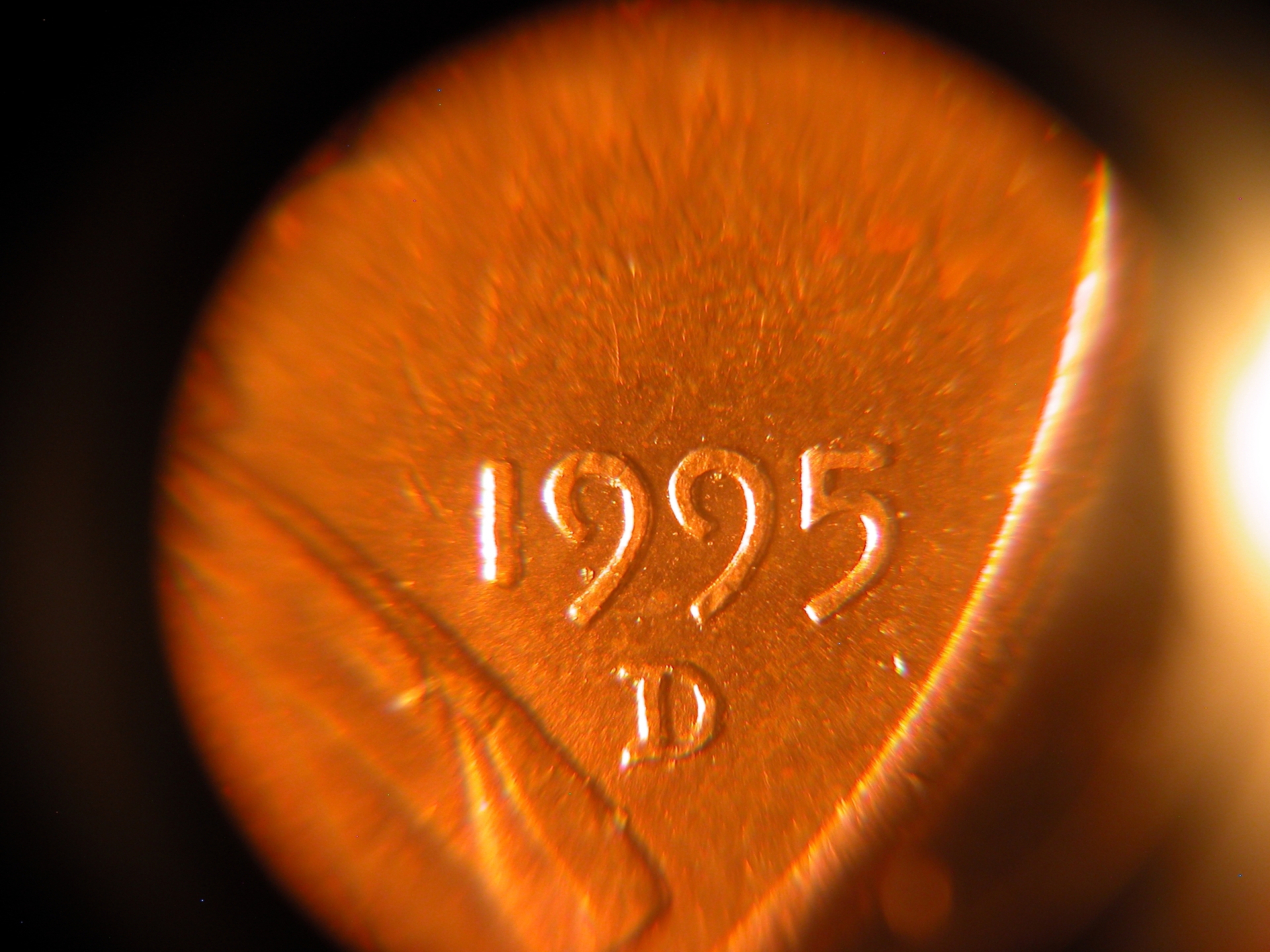 1995d_1.JPG