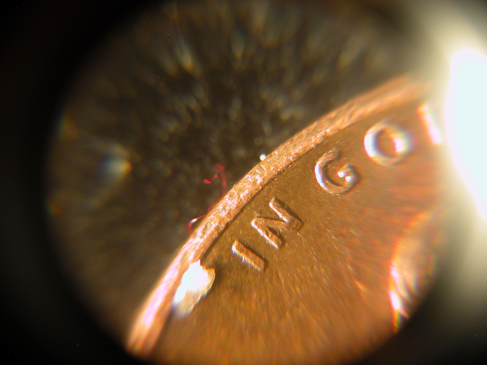 1995d_4.JPG