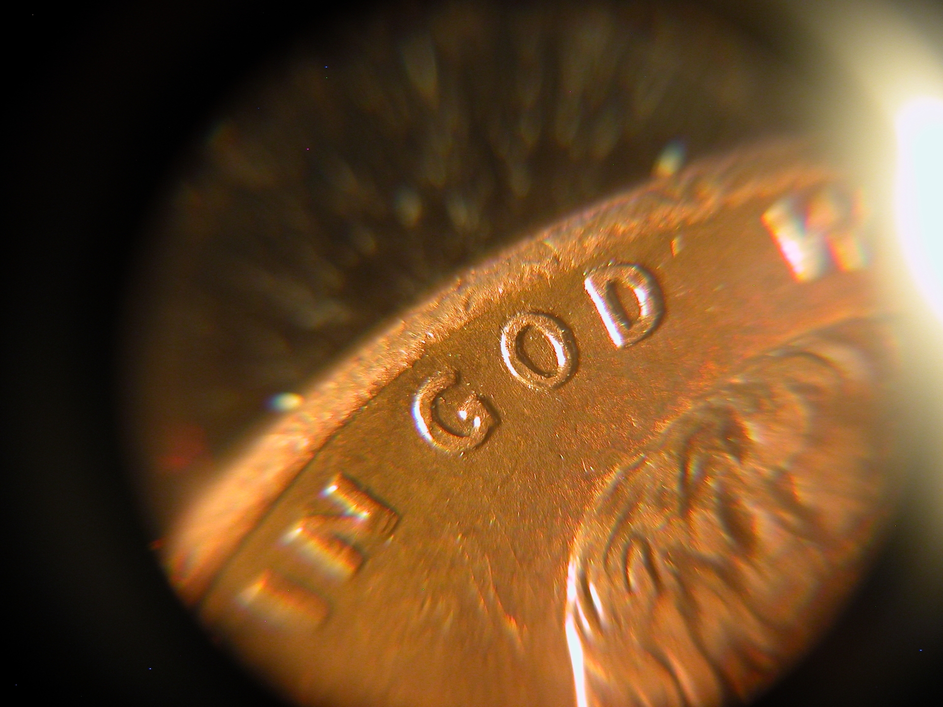 1995d_5.JPG