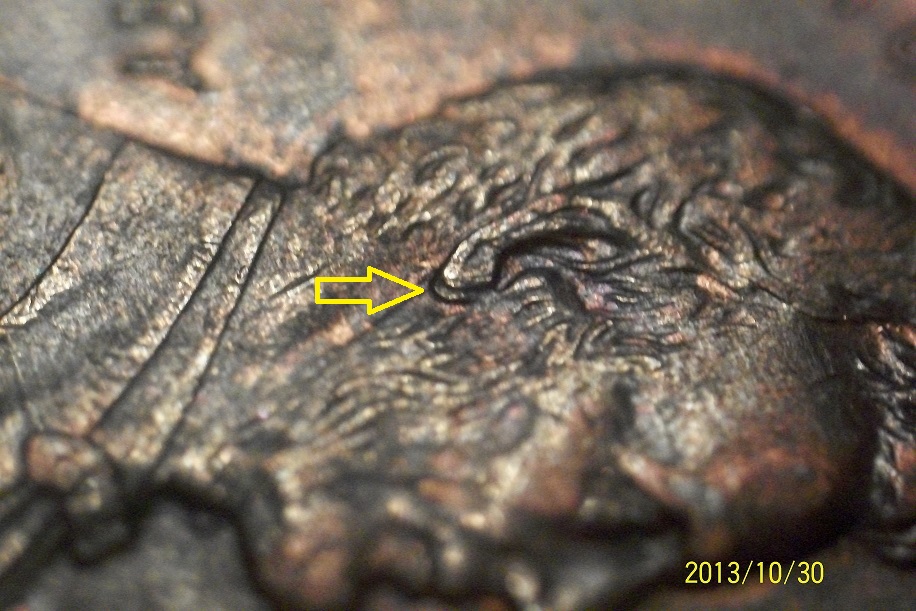 1996 D Double Ear-arrow.jpg