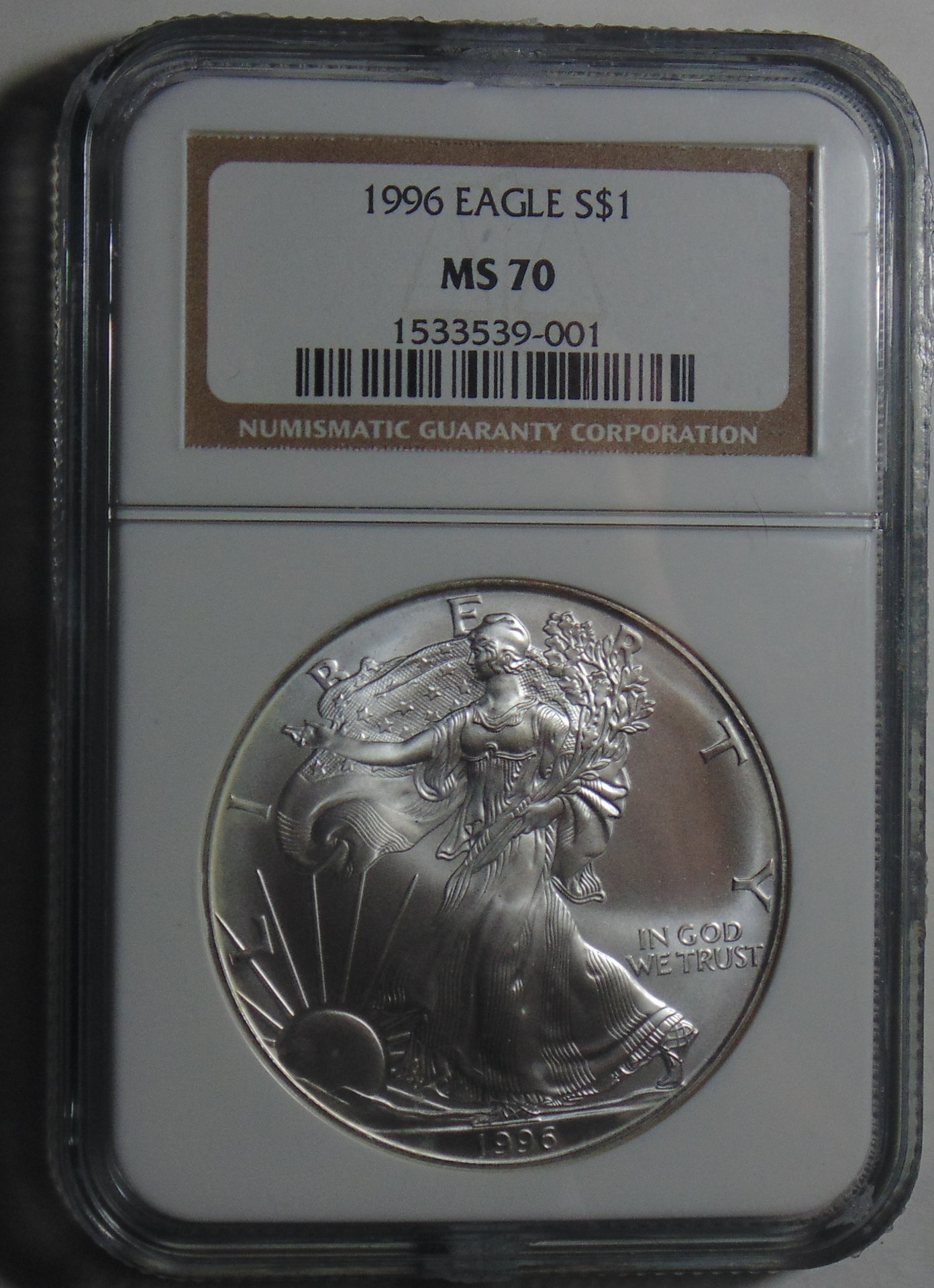 1996 Eagle 2.jpg