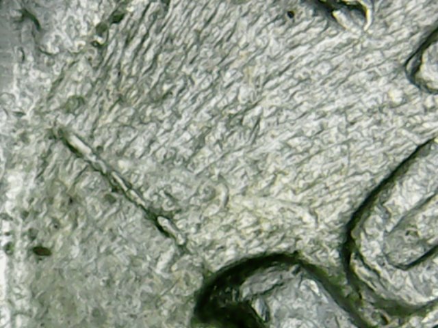 1996 P spitting eagle R-004.jpg