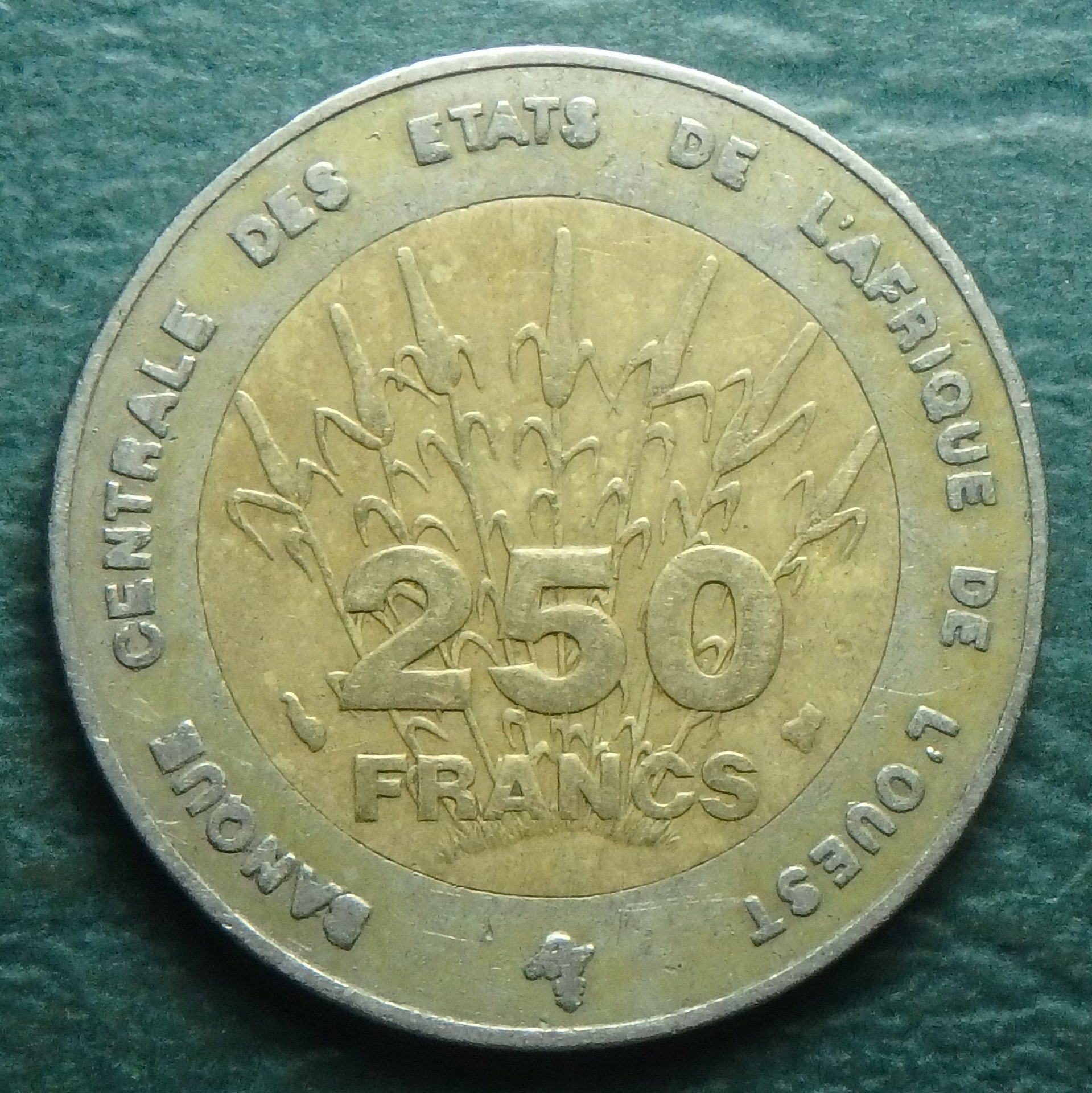 1996 WAS 250 CFCA rev.JPG
