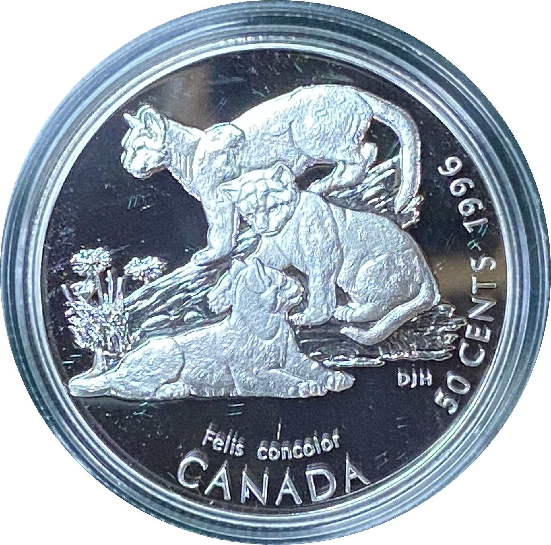 1996Half3.jpg