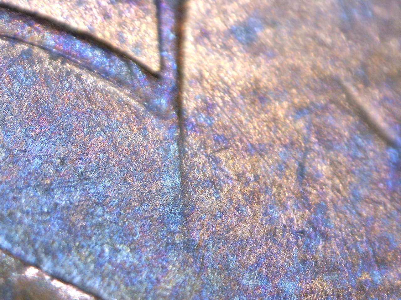 1997 Cent Date (9).jpg