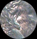 1997 Dbl Ear 1az.jpg