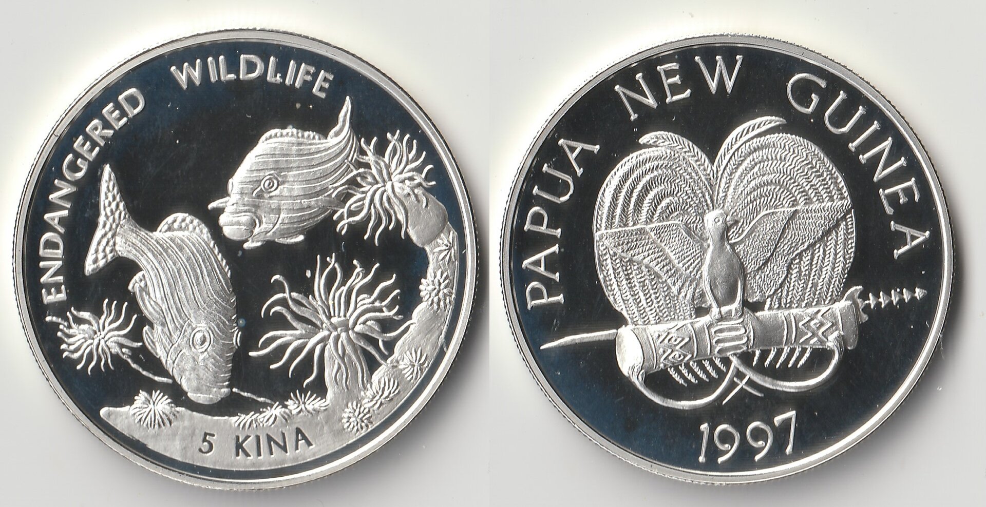 1997 new guinea 5 kina.jpg