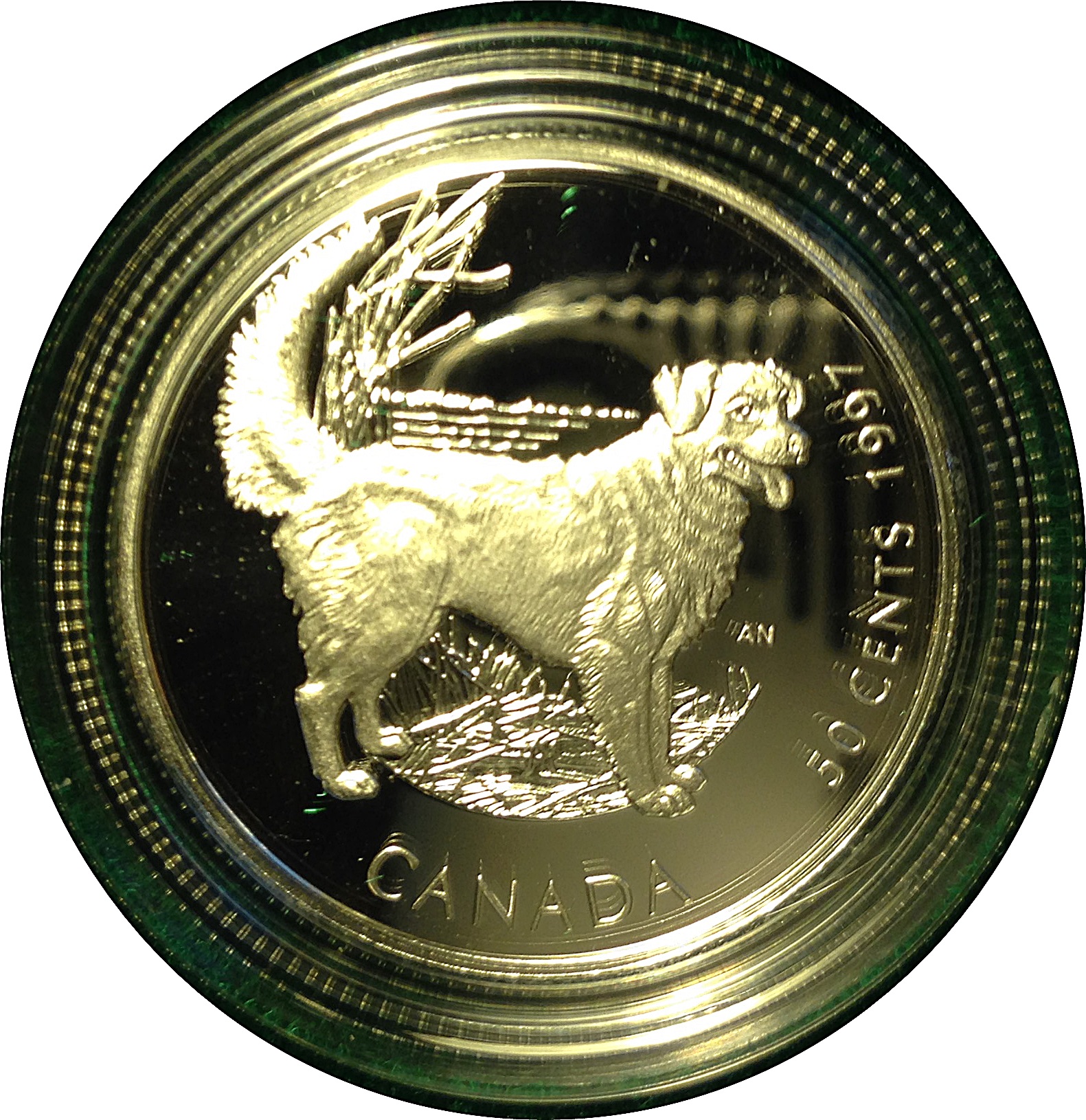 1997_Canada_Duck_Retriever.JPG