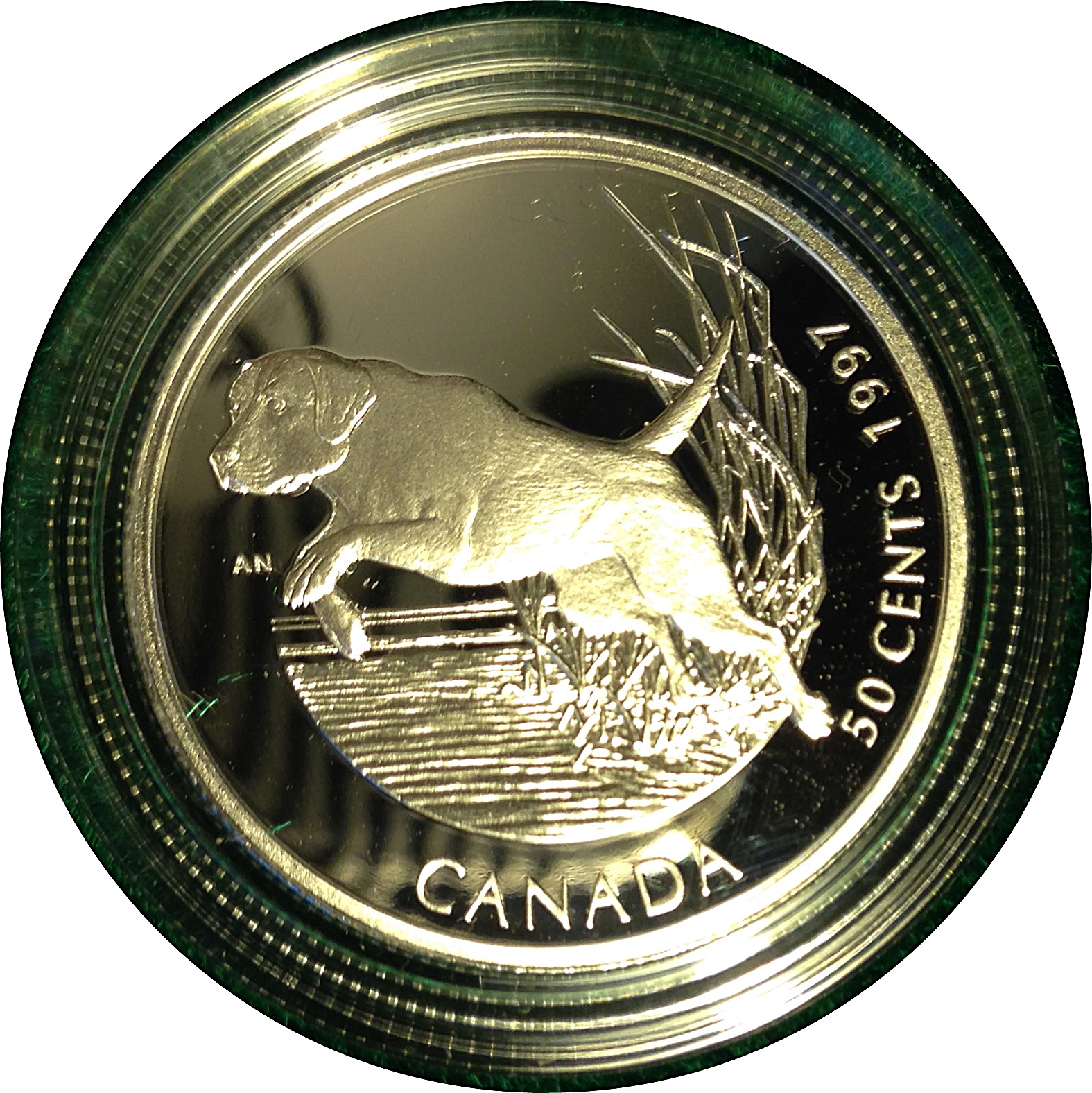 1997_Canada_Labrador.JPG