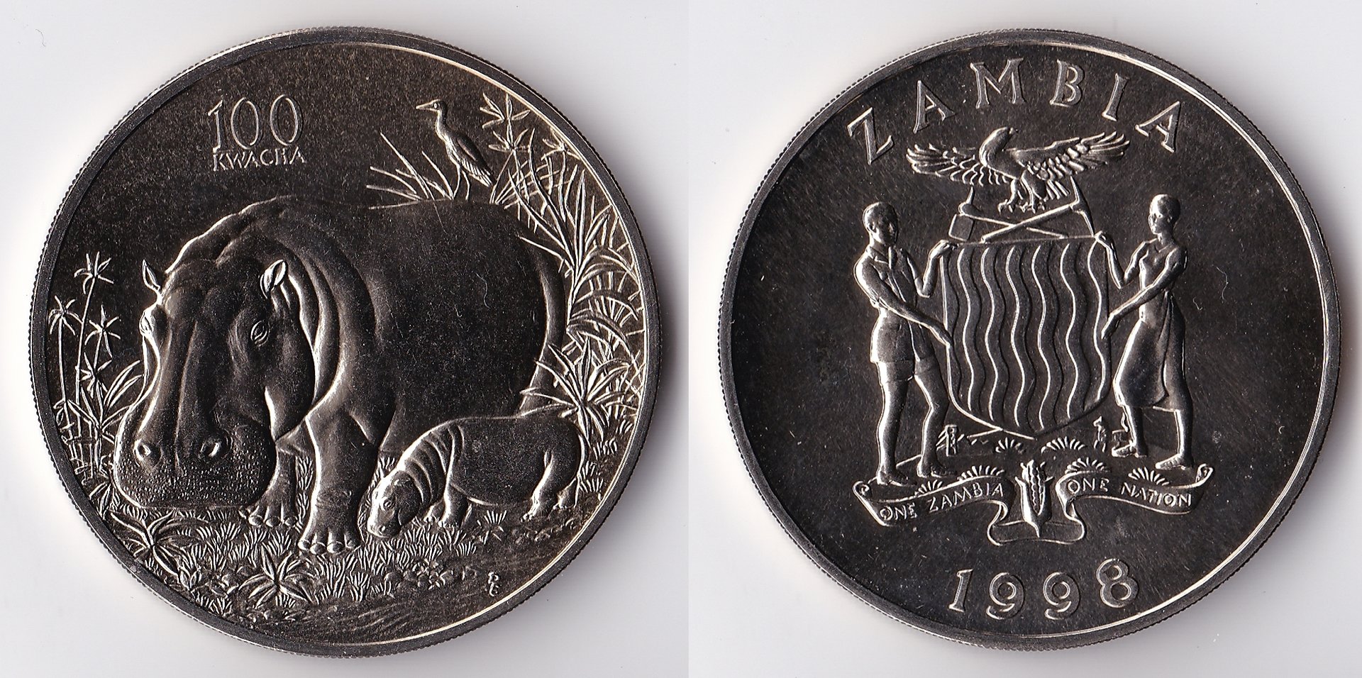1998 zambia 100 kwacha hippo.jpg