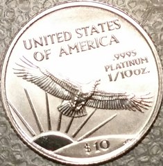 1998_US_tenthAPE_rev_small.jpg