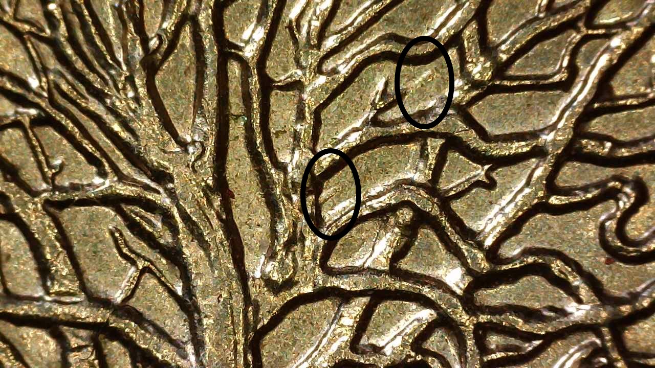 1999 D CT 25c WDDR.Query.2e.circle.jpg